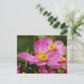 Pink Anemone Flower Briefkaart (Staand voorkant)