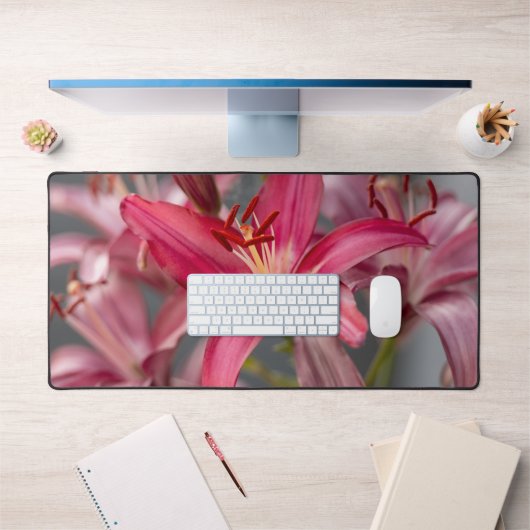 Pink Asiatic Lily, Flower Photography (Bureau 1)