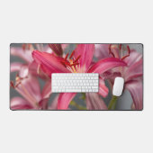 Pink Asiatic Lily, Flower Photography (Clavier et souris)