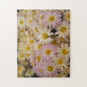 Pink Asters Puzzle (Vertical)