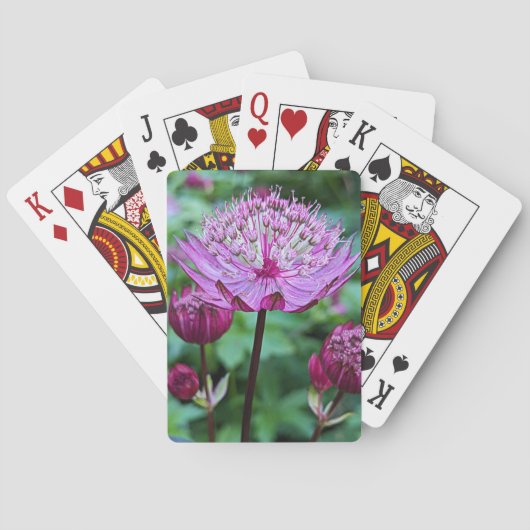 Pink Astrantia Blooms Floral Pokerkaarten (Achterkant)