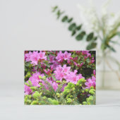 PINK AZALEA 30 FLEURS Cartes de pin Cadeaux Mugs (Debout devant)