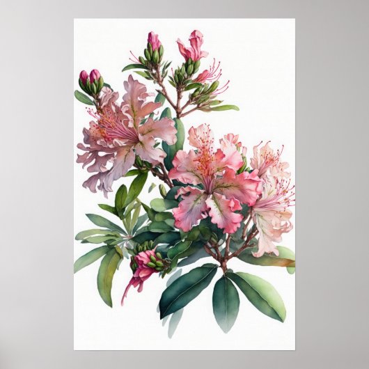 Pink Azalea Flowers Art Imprimer Poster (Devant)
