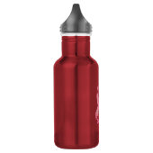 PINK BCA Liberty Bottleworks BPA FREE Waterfles (Links)