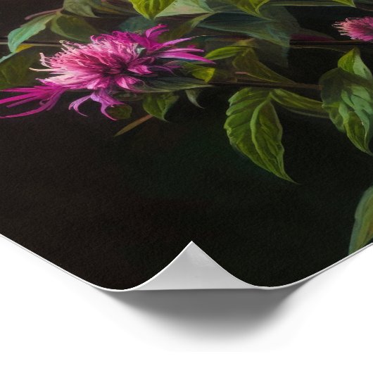 Pink Bee Balm Art Imprimer Poster (Coin)