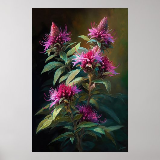 Pink Bee Balm Art Imprimer Poster (Devant)