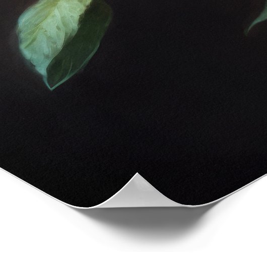 Pink Bee Balm Art Imprimer Poster (Coin)