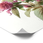 Pink Bee Balm Art Imprimer Poster (Coin)