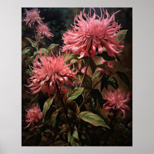 Pink Bee Balm Flowers Art Imprimer Poster