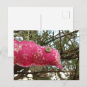 Pink Birdie Briefkaart (Voorkant / Achterkant)