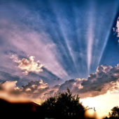 PINK BLISS-BUTTON RONDE BUTTON 5,7 CM