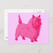 Pink Cairn Terrier Briefkaart (Voorkant / Achterkant)