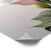 Pink Calla Lilies Lily Flower Art Imprimer Poster (Coin)