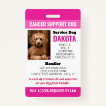 Pink Cancer Support Dog Logo QR Code Foto-ID