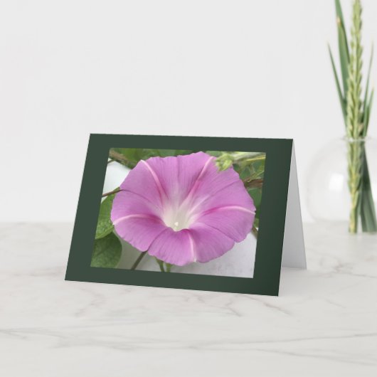 Pink Charm Morning Glory Blank Kaart (Voorkant)