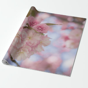 PINK CHERRY BLOSSOM IN CLOSE UP FOTOGRAPHY CADEAUPAPIER