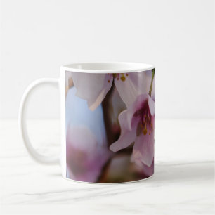 Pink Cherry Blossom Mok