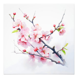 Pink Cherry Flowers Branch Foto Afdruk