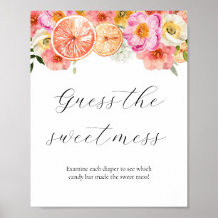 Pink Citrus Raad het Sweet Mess Baby shower teken Poster