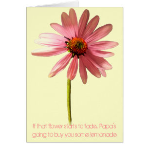 Pink Cone Flower If that flower starts to fade