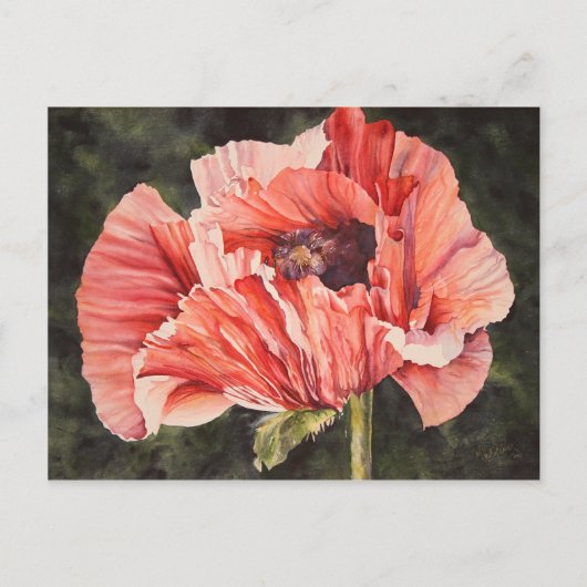 Pink Corn Poppy All Occasion Waterverf Briefkaart (Voorkant)