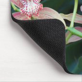 Pink Cymbidium Orchids Floral Muismat (Hoek)