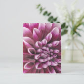 Pink Dahlia Briefkaart (Staand voorkant)