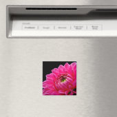 Pink Dahlia Magnet Magneet (Insitu (Vaatwasser))