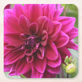 Pink Dahlia Onderzetter