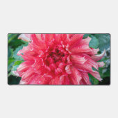 Pink Dahlia Photographie, Fleur canadienne (Recto)