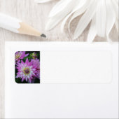 Pink Dahlia retouradreslabels Etiket (Insitu)