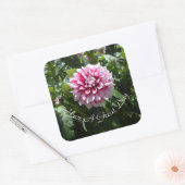 Pink Dahlia Vierkante Sticker (Envelop)