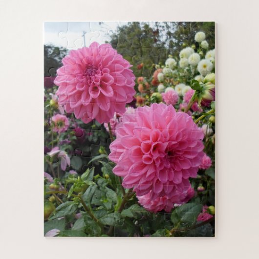Pink Dahlias Legpuzzel (Verticaal)