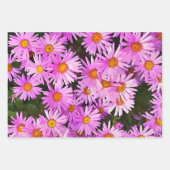  PINK DAISIES INPAKPAPIER VEL (Voorkant)