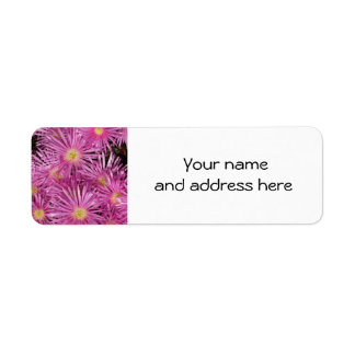 Pink Daisies Retour Adreslabels Etiket