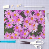  PINK DAISIES TISSUEPAPIER (Craft)