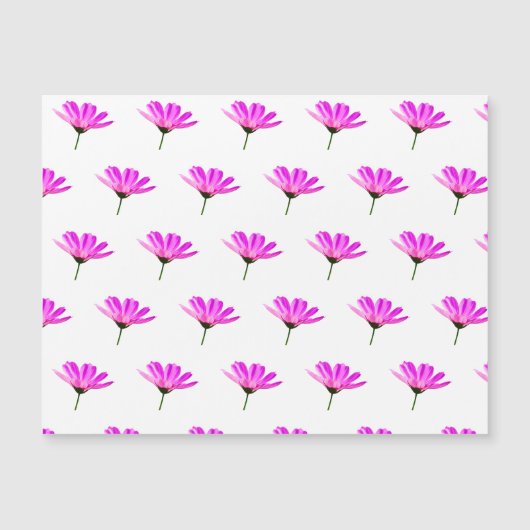 Pink Daisy (Voorkant)
