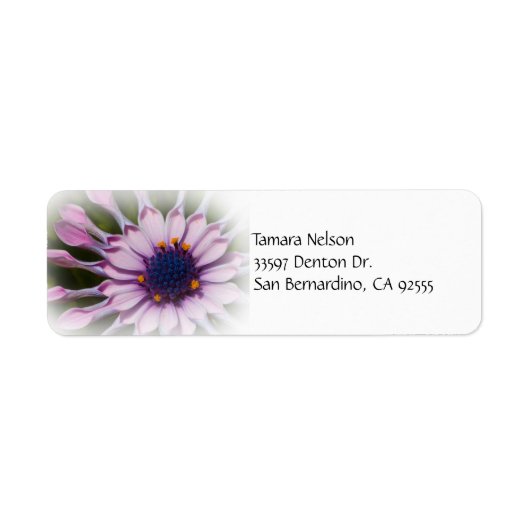 Pink Daisy-adreslabel Etiket (Voorkant)