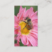 Pink Daisy Bee Flower Carte de visite de photograp (Dos)