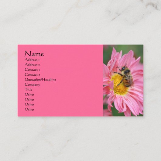 Pink Daisy Bee Flower Carte de visite de photograp (Devant)