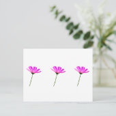 Pink Daisy Briefkaart (Staand voorkant)