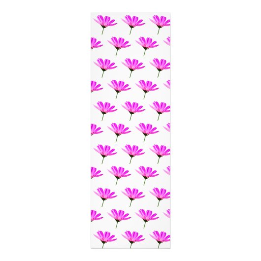 Pink Daisy Foto Afdruk (Voorkant)