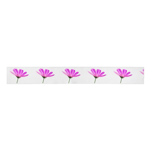 Pink Daisy Grosgrain Lint (Voorkant)