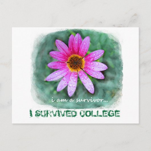 Pink Daisy Ik ben een Survivor Briefkaart (Voorkant)