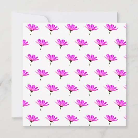 Pink Daisy Kaart (Voorkant)