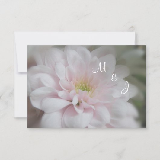 Pink Daisy Mum Mariage Réponse carte RSVP (Devant)