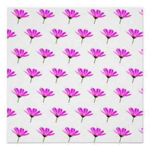 Pink Daisy Perfect Poster