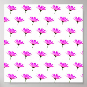 Pink Daisy Poster