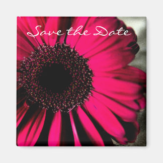 Pink Daisy Save the Date Magnet Magneet