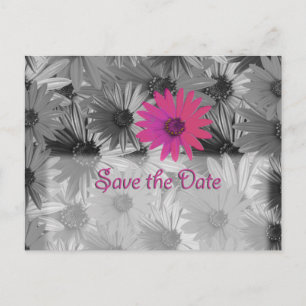 Pink Daisy Sla de datum op Aankondigingskaart
